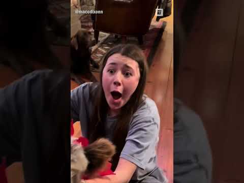 She Got The Best Surprise Ever!