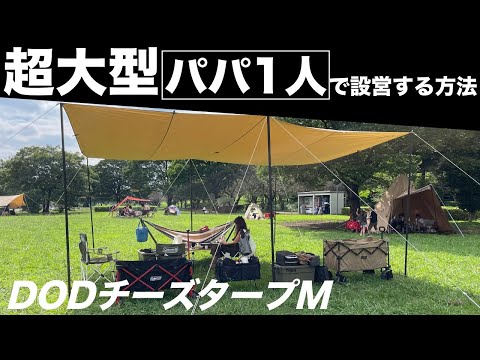 DODの大型テントをパパ1人で設営する方法 /ファミリーキャンプが更に楽しくなりますよ。コツを掴めばこんなの楽勝です♪ チーズタープM