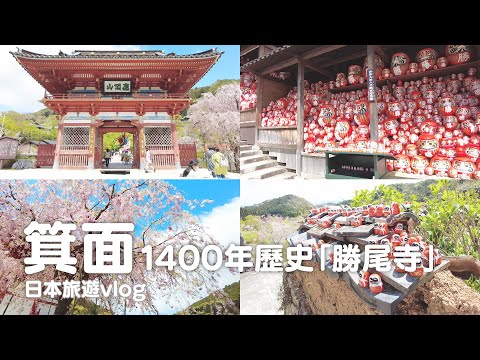 大阪箕面隱藏景點｜1400年歷史|必勝寺廟「勝尾寺」到處都是不倒翁達摩|有求必應超靈驗｜日本旅遊vlog。大阪旅遊。日本一人旅行自由行。景點美食推薦