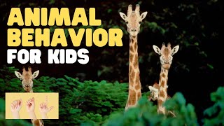 ASL Animal Behavior for Kids