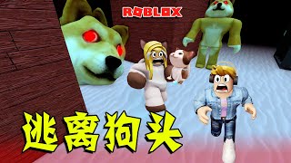 ROBLOX：逃离狗头新关卡，到水下寻找第七只小猫，水里竟然有大狗