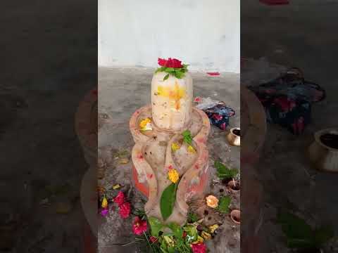 पार्वती बोली शंकर से सुनिए भोलेनाथ जी।। ❤️❤️ #shorts #youtubeshorts #viral #janmashtami #krishna