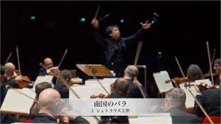 シュトラウス「南国のバラ」｜ワルツ・ポルカ  | フルオーケストラ演奏［吉田裕史指揮］ボローニャ歌劇場フィルハーモニー