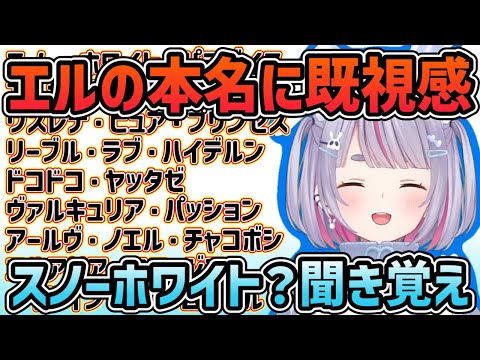 【ぶいすぽ】兎咲ミミエルフのえるの本名にとある人物を思い出す「ぶいすぽ/切り抜き」