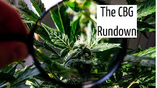 The CBG Rundown | Discover Marijuana