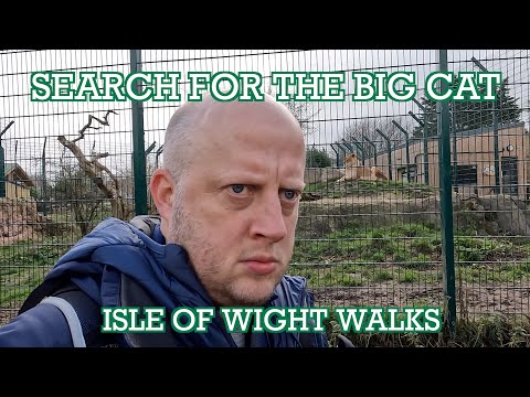 Search for the Big Cat Walk | Isle of Wight  Walks| Cool Dudes Walking Club