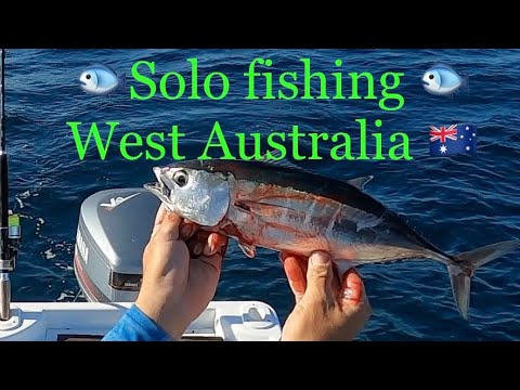 Solo fishing 🎣(target Blue fin Tuna🐟)🇦🇺