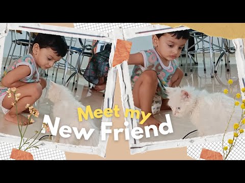 😍 Meet my New friend Leo🐾 | Aadhukuttan vlog | Persian cat | cat lover