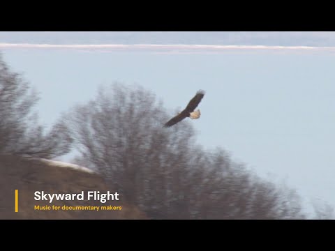 Skyward Flight - Music for Documentary Makers