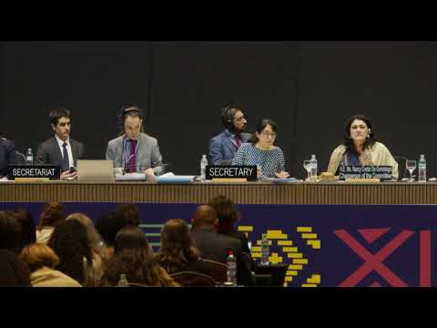 19th session of the Intergovernmental Committee - Floor - 6 December 2024 - pt14part2