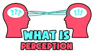 What is Perception | Explained in 2 min