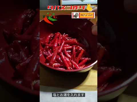 タバスコ🌶作り🫰