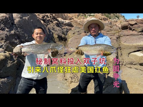 【阿向趕海】秘製窩料倒入200平雙子坑 引來八爪怪狂虐美國紅魚 再次為國爭光