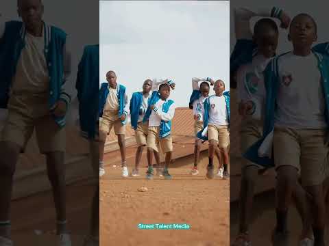 Dj Tibelras Ampola (dance video)