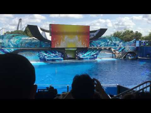 One Ocean SeaWorld Orlando 2nd November 2019!!