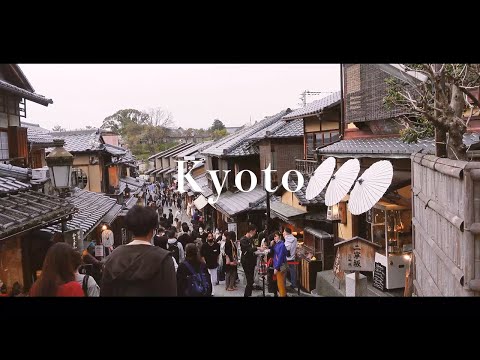 KYOTO | Cherry Blossoms [Short Video]