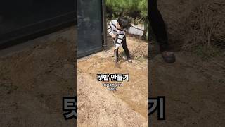 가평 텃밭 만들기 1단계 #가평여행 #주말농장 #텃밭 #텃밭만들기