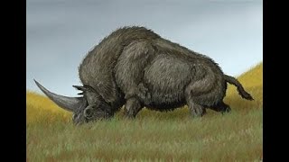 Kingdom of Giants: The Largest Land Mammals Ever