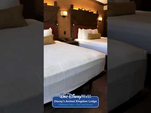 Shorts: One-Bedroom Suite - Club Level Access - Disney's Animal Kingdom Lodge