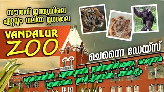 Vandalur Zoo Malayalam | Arignar Zoological Park | How to Travel Chennai | Chennai Tourist Places