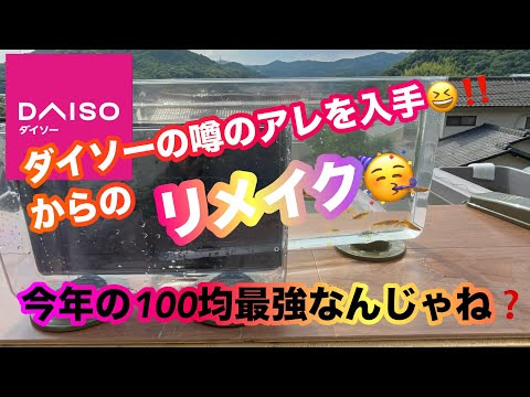 (メダカ)あのお店からもキターー🥳最近噂のあのケース買ってみました。めちゃ使える！