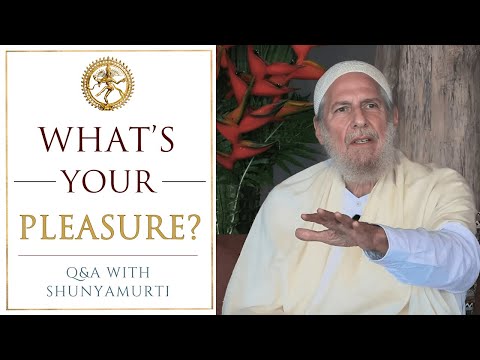 Enjoy a 3-Course Meal of Consciousness! Shunyamurti Question & Answer