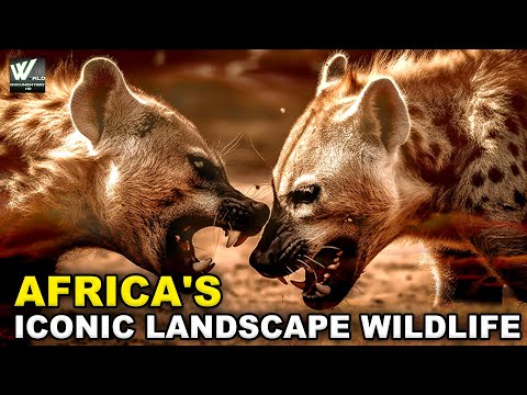 Africa's Iconic Landscape Wildlife documentary (Hindi) - Wildlife Documentary in (हिंदी)