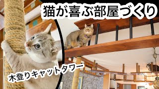 Rooms for Cats .Both cats and people are excited !