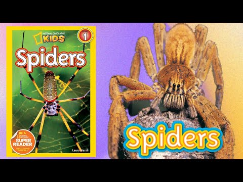 National Geographic Readers  Spiders | read aloud science book