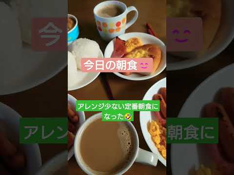 定番朝食になったメニュー達😂#大家族 #朝ごはん 動画#6児ママ#shorts