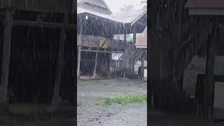 Walking In Bomb Rain Through My Village #heavyrain #walkingrain #rainvideo