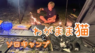 飼い主から離れられない甘えん坊猫🐈猫と車中泊ソロキャンプ！【猫キャンプ】