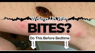 It Stopped Persistent Bed Bugs, Fleas, & Roaches