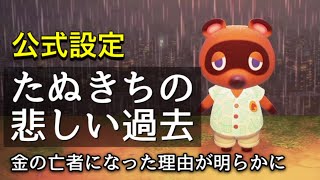 【あつ森】公式設定！たぬきちの悲しい過去ドラマ。どうしてたぬきちは金の亡者になったのか【あつまれどうぶつの森】【AnimalCrossing】