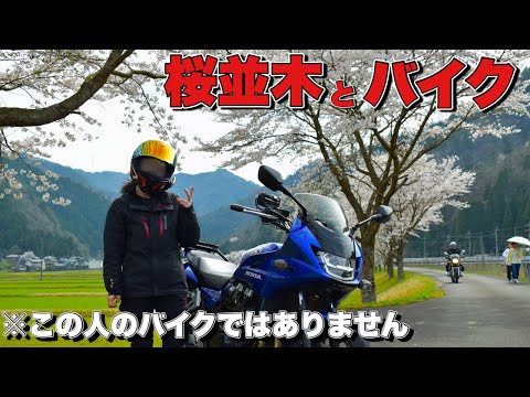 桜を求めて福井県ツーリングへ行くが…【モトブログ・バイク女子】