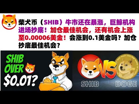 柴犬币（SHIB）牛市还在暴涨，巨鲸机构进场抄底！加仓最佳机会，还有机会上涨至0.00006美金！会涨到0.1美金吗？加仓抄底最佳机会？#shib币#柴犬币#屎币行情分析