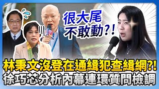 林秉文沒被登在通緝犯查緝網？！　徐巧芯分析內幕連環質問檢調 @ChinaTimes