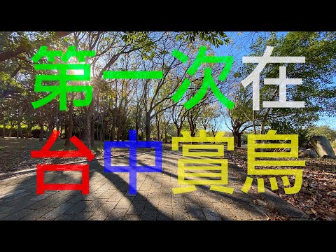 [廣東話cc中字] 移民台灣 香港人在台灣 香港人第一次在台中賞鳥，拍攝猛禽後竟然要向台中人求救 at 台中都會公園