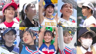 2022甲子園チア・応援まとめ 日向坂46四期生 清水理央さんも！栄光の扉エンドレス(平井大 熱闘甲子園)耐久 市立船橋 仙台育英 国学院栃木 九州学院 札幌大谷マネージャー 高松商応援団