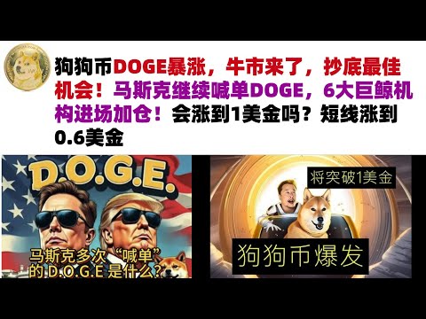 狗狗币DOGE暴涨，牛市来了，抄底最佳机会！马斯克继续喊单DOGE，6大巨鲸机构进场加仓！会涨到1美金吗？短线涨到0.6美金#DOGE币#马斯克狗狗币#DOGE行情分析