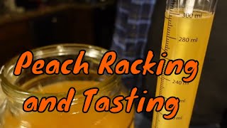 Peach Mead | Racking and Tasting