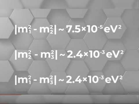 Massless Neutrino Discovered