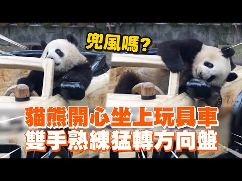 貓熊開心坐上玩具車　雙手熟練猛轉方向盤｜莽燦燦｜重慶動物園｜精選影片