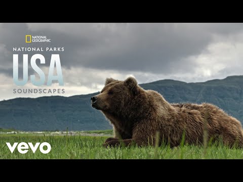 Bear Family Chatting at Katmai National Park (From "National Geographic Soundscapes: Natio...