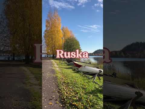 Finland’s beautiful word for autumn colors: Ruska 🍁 #finland