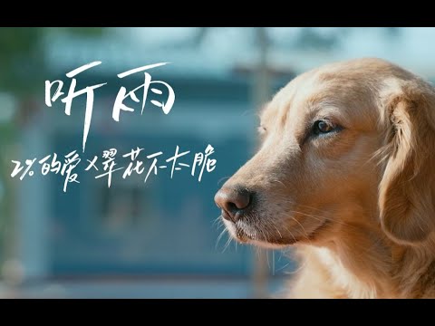 【翠花不太脆】《听雨》主题曲上线！