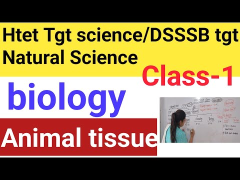 Animal tissue |Htet tgt science/DSSSB tgt Natural Science preparation