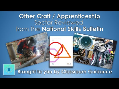 Want To Work As An Apprentice Welder, Mechanic, Electrician Butcher? Here's What You Should Know.