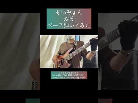 双葉 / あいみょん 【ベース弾いてみた】 #shorts #ベース #ベース弾いてみた #bass #basscover #あいみょん