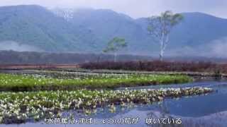 ～夏の思い出～ ダ・カーポ